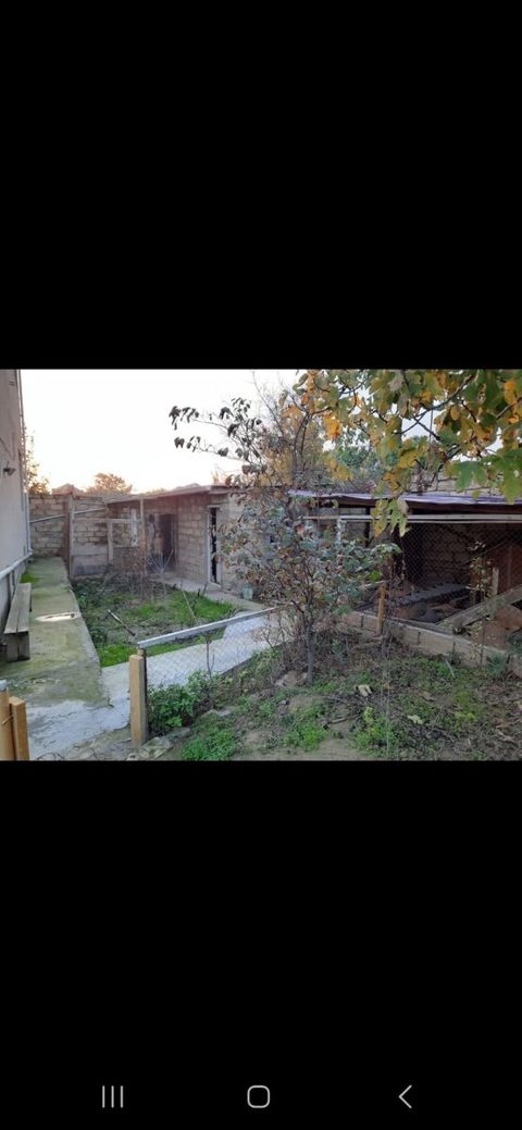 Həyət evi, Saray qəs.
