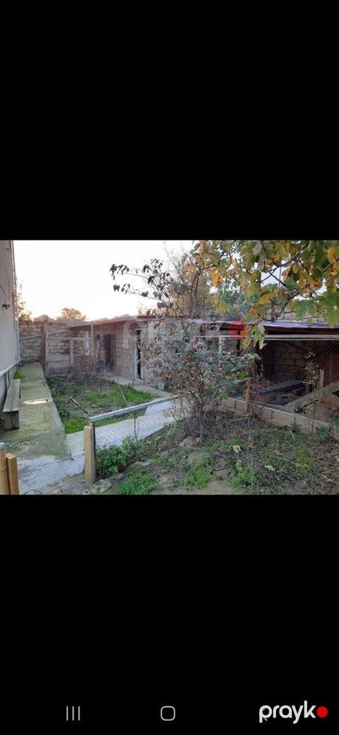Həyət evi, Saray qəs.