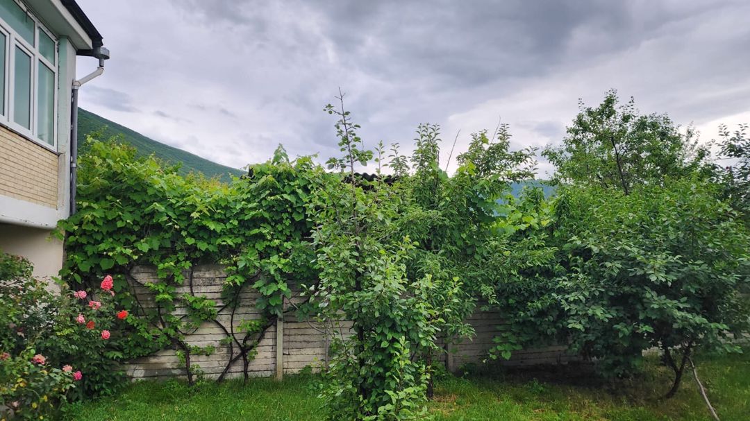 Həyət evi kirayə verilir, Şəki r. — Ev, villa, Şəki (11)