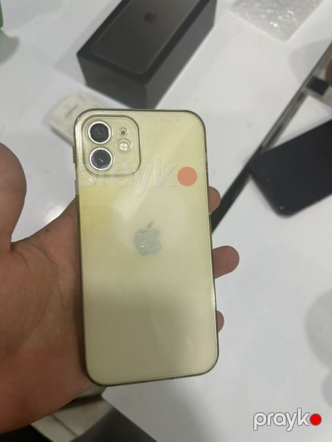 IPhone 12, Ağ