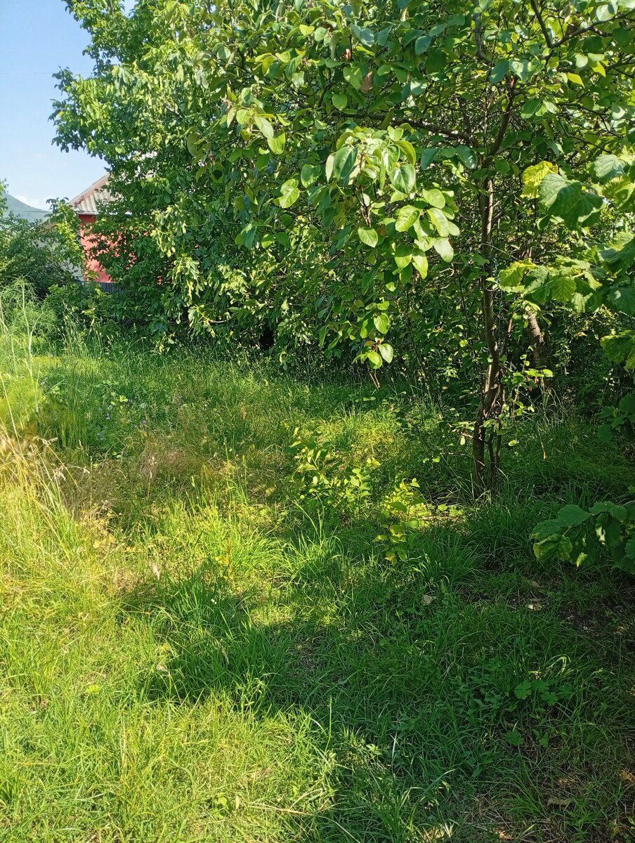 Həyət evi kirayə verilir, İsmayıllı r. — Ev, villa, İsmayıllı (11)