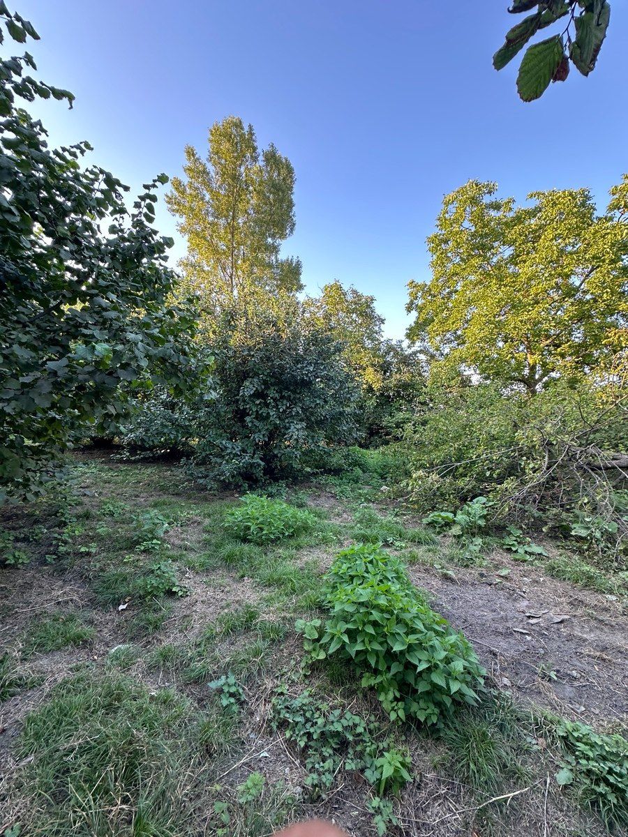 21 sot torpaq sahəsi, Quba r. — Torpaq, Quba (5)