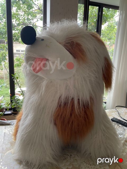 Oyuncaq it — Quba