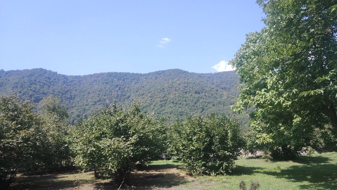 10 sot torpaq sahəsi, Zaqatala ş. — Torpaq, Zaqatala (2)