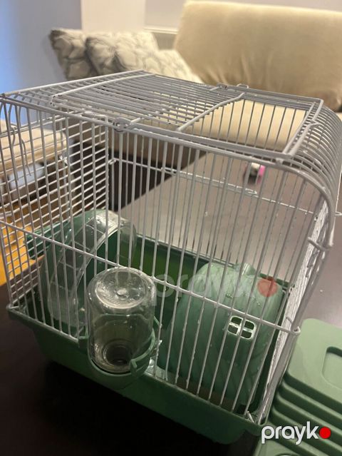 Hamster ucun qefes satilir, elave oyuncaqlar da var. Icini deyismek — Bakı
