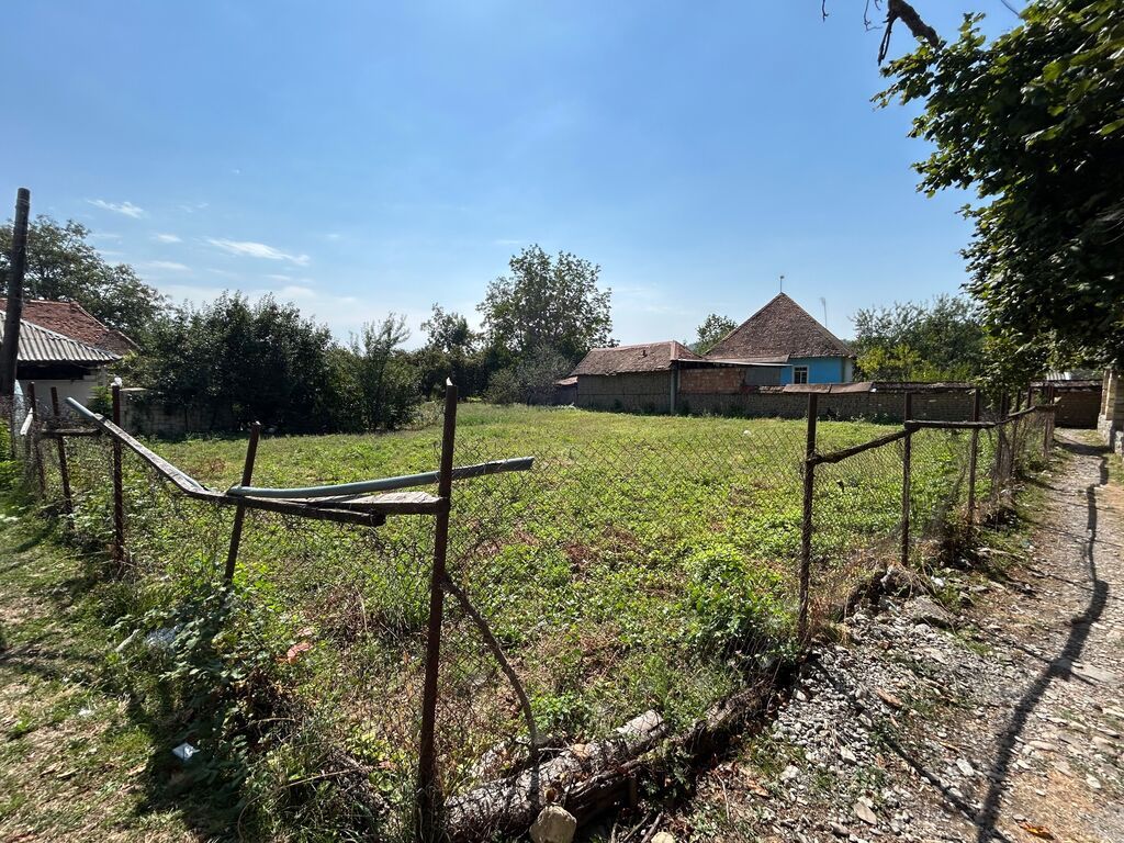 8 sot, Tikinti, Maklerlər narahat etməsin, Kupça (Çıxarış) — Torpaq, Qəbələ (4)