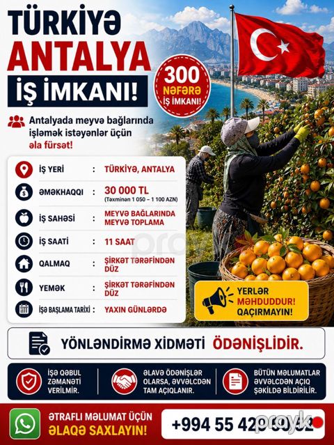 Türkiyədə meyvə bağlarına işçilər lazımdır yeməydi qalmağdı hərbiri — Bakı