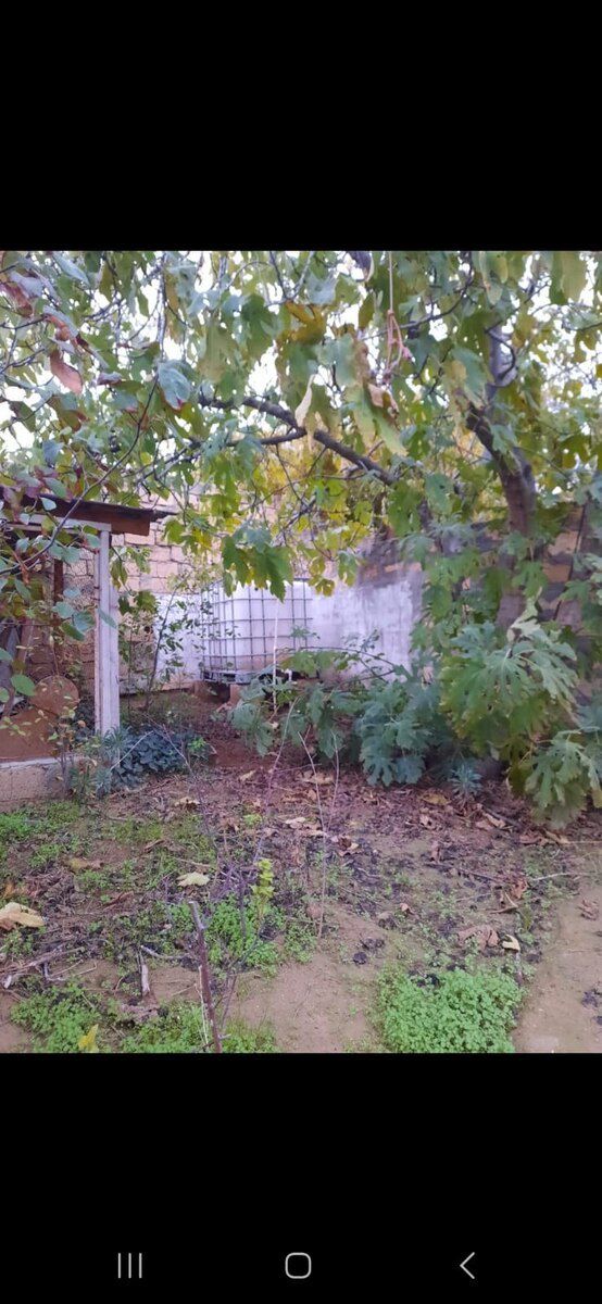 Həyət evi, Saray qəs. — Ev, villa, Sumqayıt (10)
