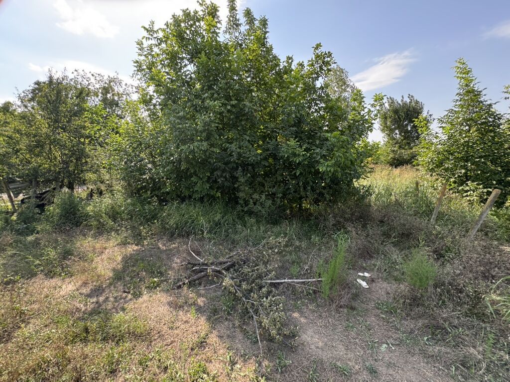 Tikinti — Torpaq, Gəncə (4)