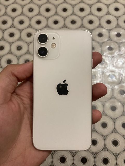 IPhone 12 mini, Ağ