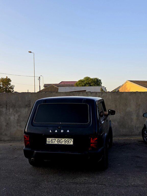 LADA (VAZ) Niva, 1.7 L, 2014 il, 250 000 km — Avtomobillər, Bakı (3)