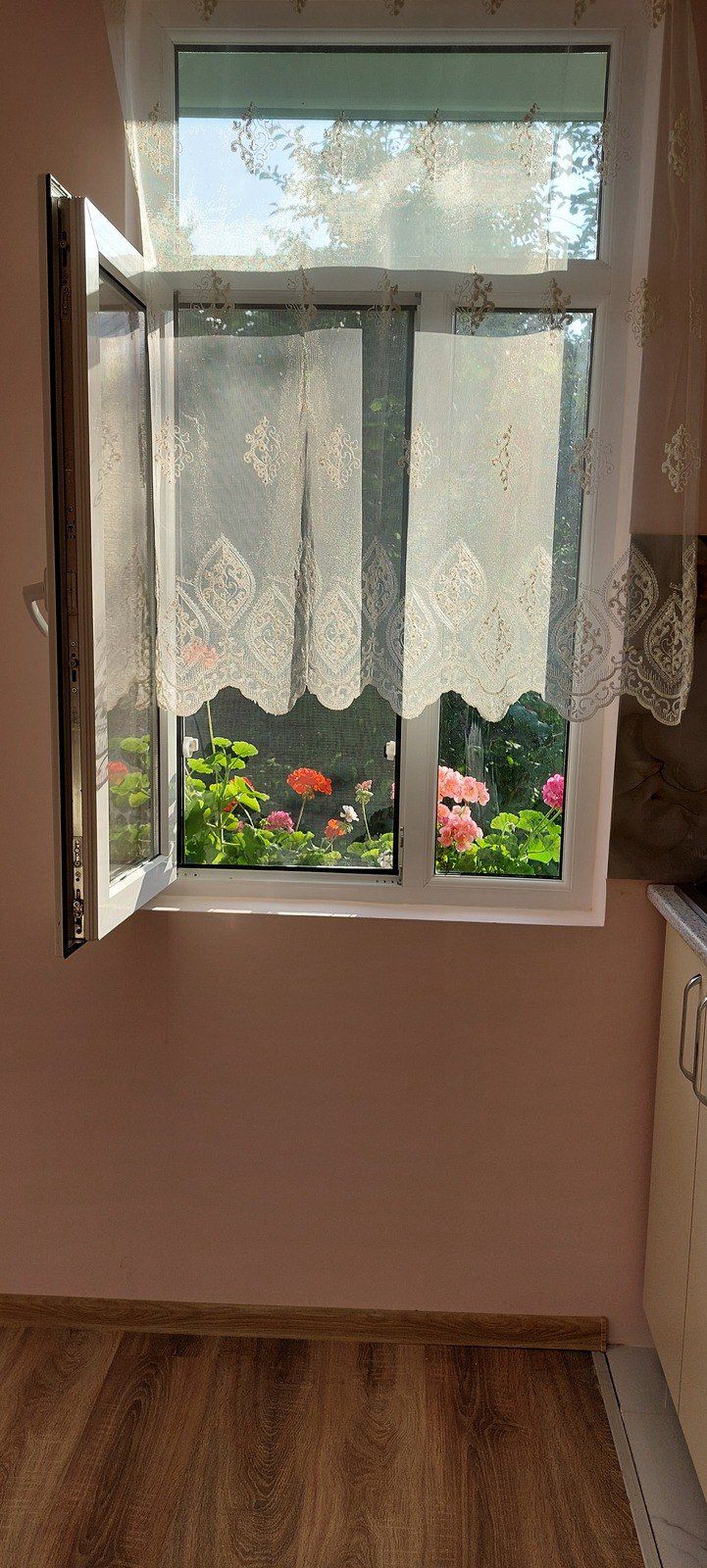 Bağ evi kirayə verilir, Quba r. — Ev, villa, Quba (11)