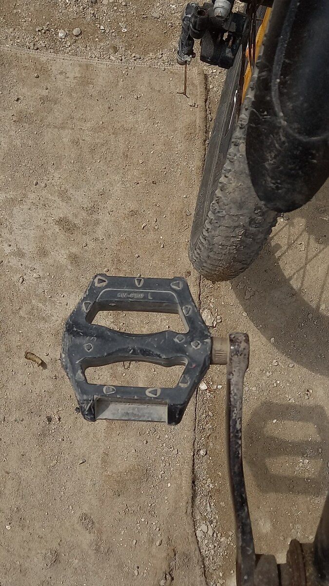 Velosiped — Velosipedlər, Bakı (4)