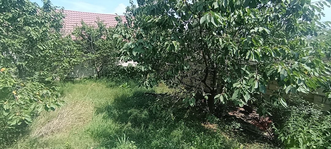 5 sot torpaq sahəsi, Quba r. — Torpaq, Quba (5)