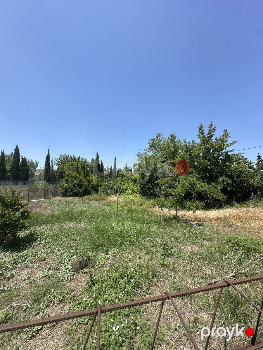 30 sot torpaq sahəsi, Novxanı qəs. — Torpaq, Bakı (12)