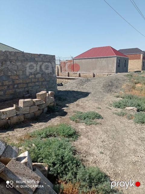 Tikinti