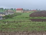 100 sot, Kənd təsərrüfatı, Mülkiyyətçi, Kupça (Çıxarış) — Emlak