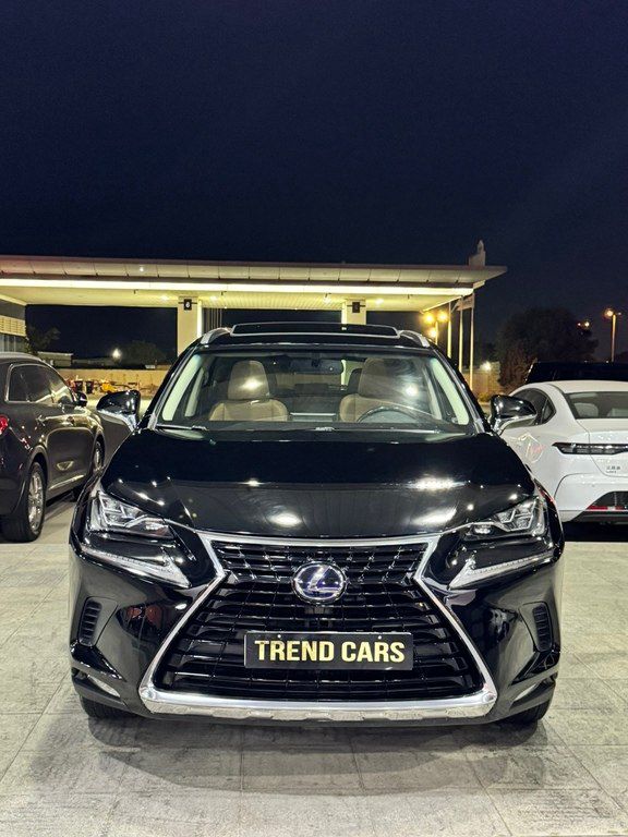 Lexus NX 300, 2.0 L, 2017 il, 51 000 km — Avtomobillər, Xırdalan (3)