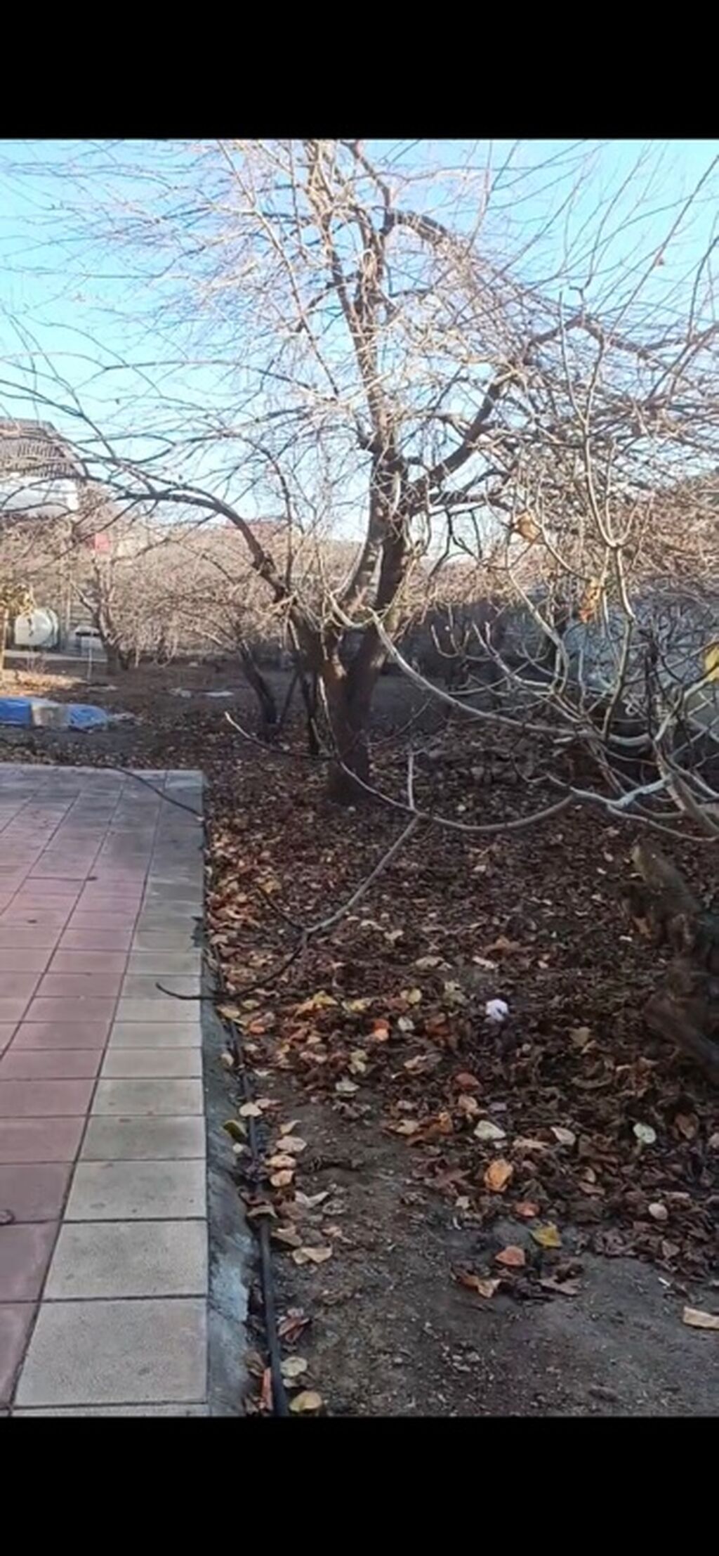 Kənd təsərrüfatı, Makler, Kupça (Çıxarış) — Torpaq, Gəncə (3)