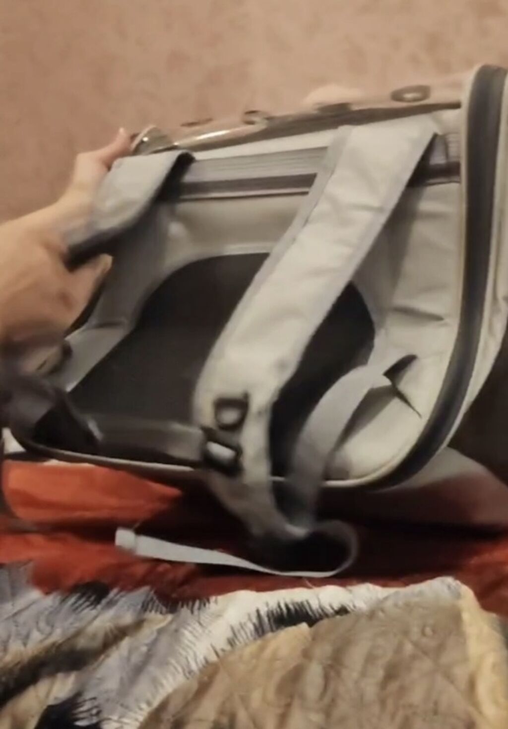 Ev heyvanları üçün daşıma çantası/backpack tipli daşıyıcı. Açıq boz — Heyvanlar, Bakı (7)