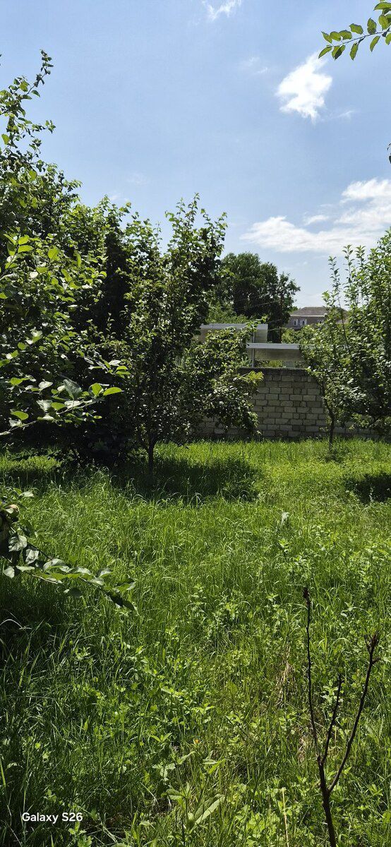 Земельный участок 4 сот, г. Гусар. — Torpaq, Quba (7)