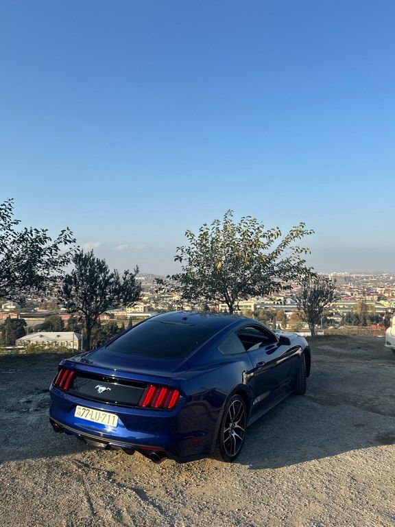 Ford Mustang, 2.3 L, 2016 il, 104 000 km — Avtomobillər, Bakı (4)