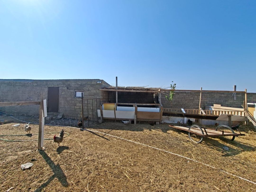 Həyət evi, Zirə qəs. — Ev, villa, Bakı (3)