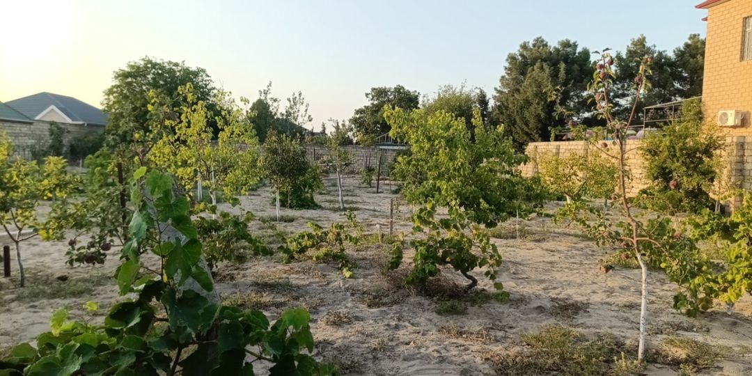 25 sot torpaq sahəsi, Novxanı qəs — Torpaq, Bakı (6)