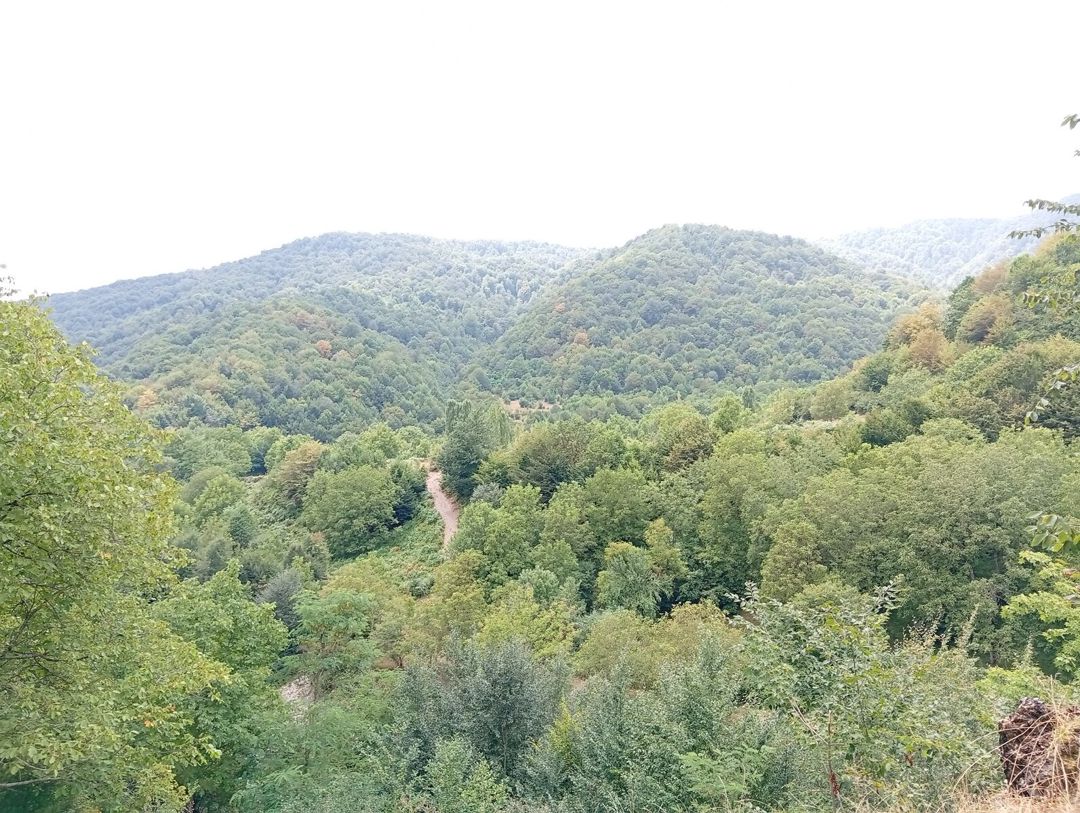 Bağ evi kirayə verilir, İsmayıllı r — Ev, villa, İsmayıllı (5)