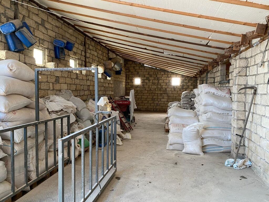 Ferma/Göyçayda 260 hektar sahədə ferma bütün avadanlıqlarla və fermada — Daşınmaz əmlak, Bakı (2)