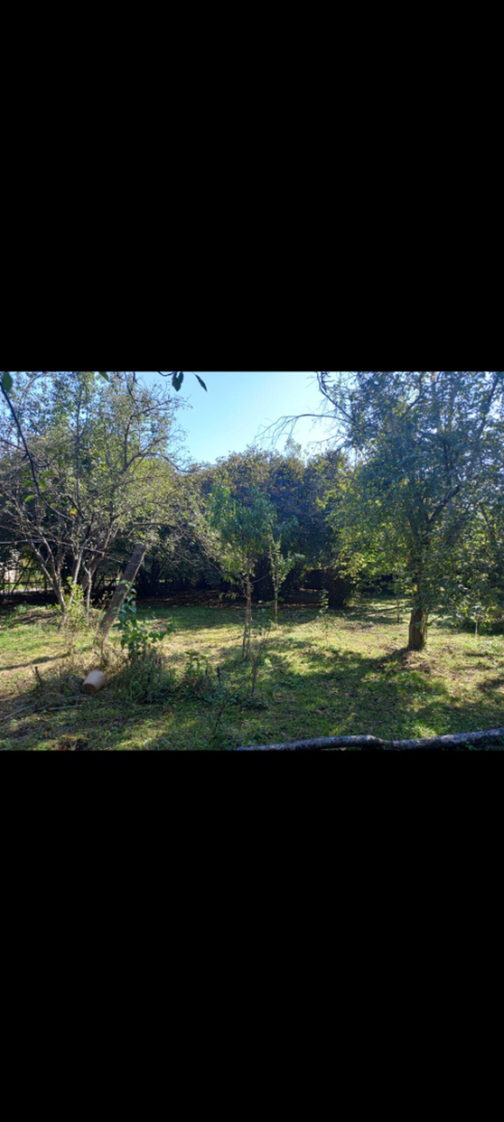 Qax, 60 kv. m, 2 otaqlı, Hovuzsuz, Qaz, İşıq, Su — Daşınmaz əmlak, Qax (5)