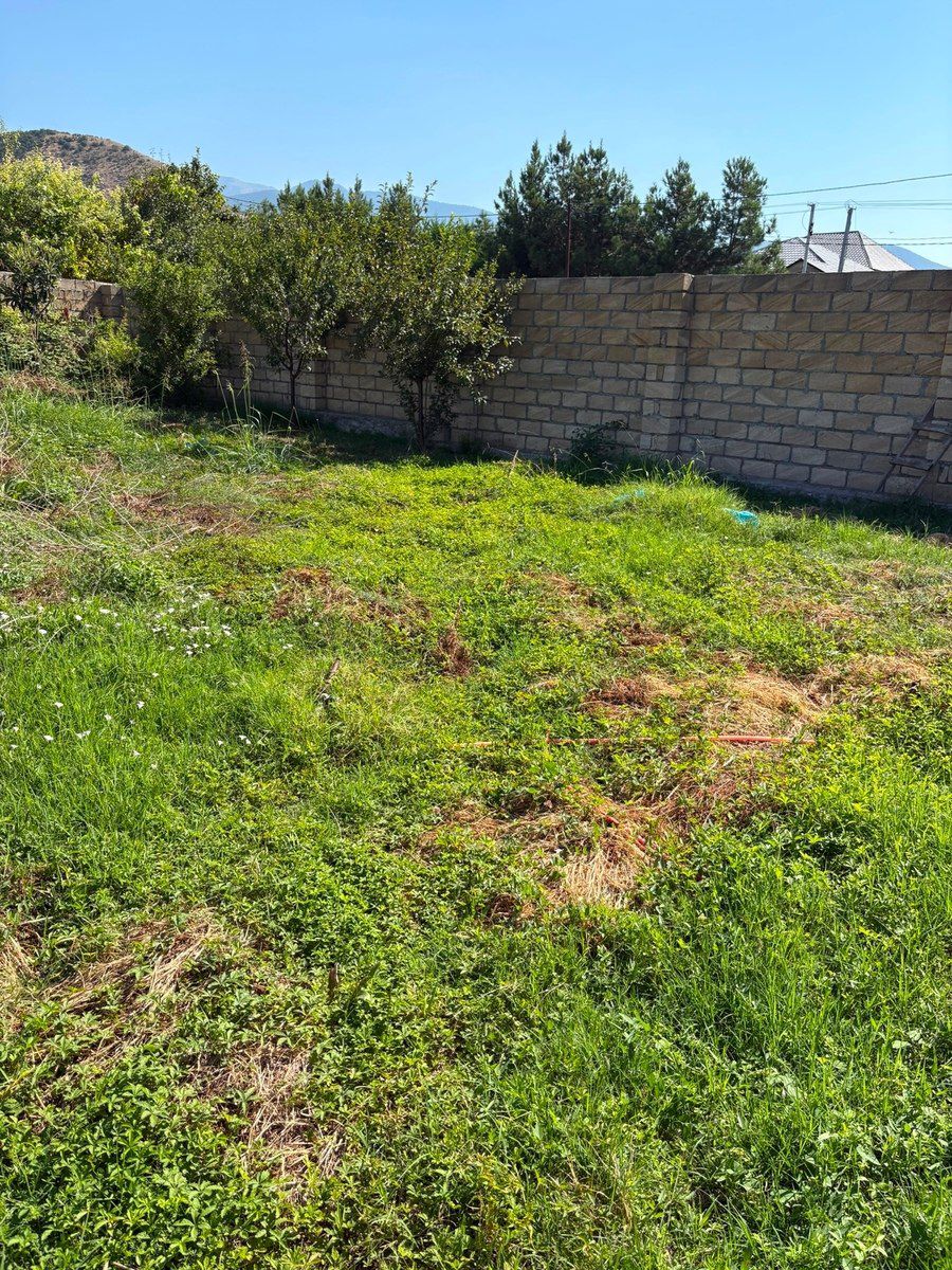 3 sot torpaq sahəsi, Şəki ş. — Torpaq, Şəki (4)