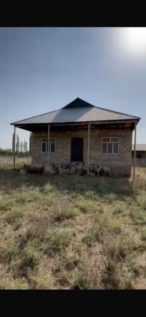 Kənd təsərrüfatı — Beyləqan