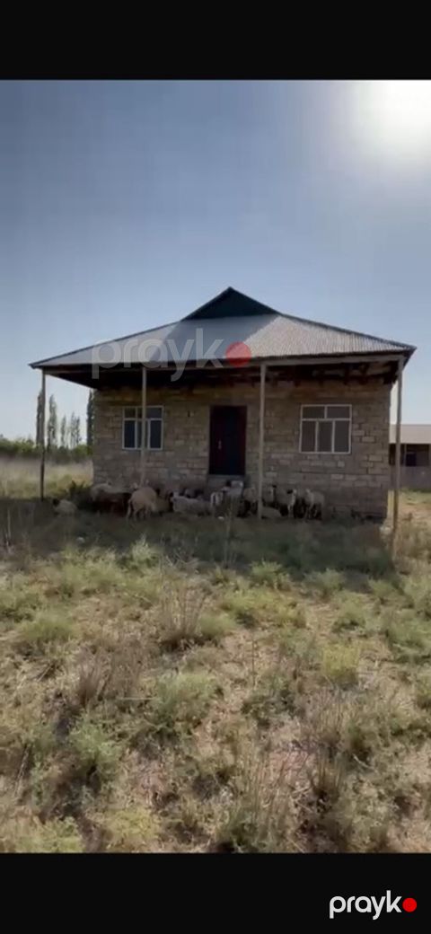 Kənd təsərrüfatı
