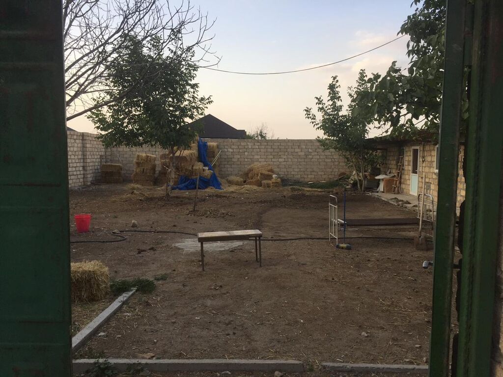 Quşçuluq təsərrüfatı və yardımçı yaşayış sahəsi - Geniş həyətyanı — Kənd təsərrüfatı avadanlığı, Gəncə (9)
