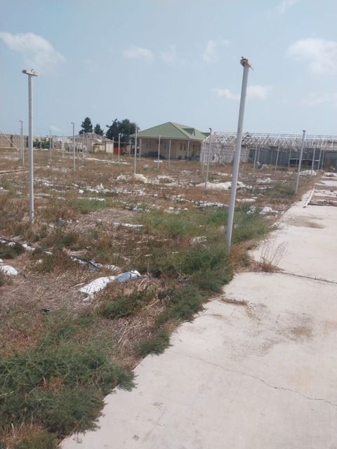 1100 sot torpaq sahəsi, Buzovna qəs — Bakı