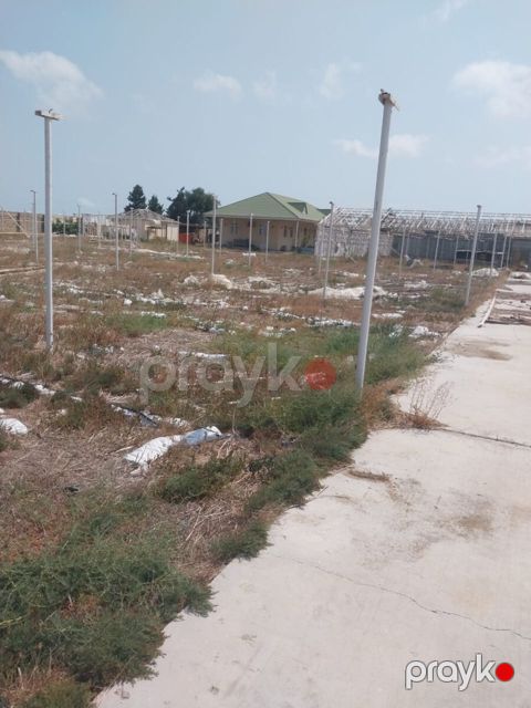 1100 sot torpaq sahəsi, Buzovna qəs