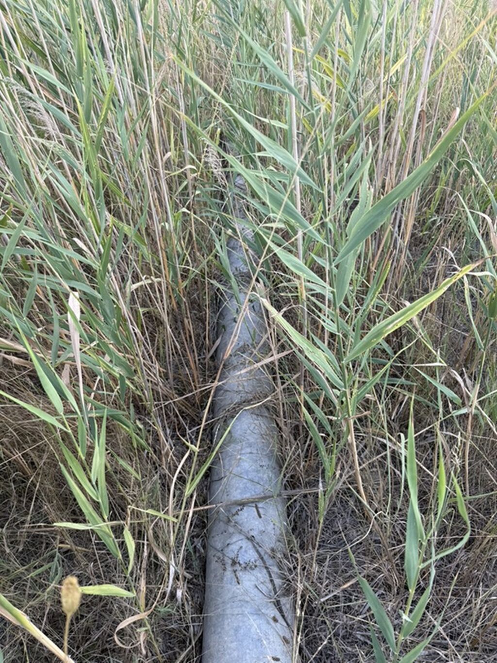 Məhsul: Sinklənmiş metal boru Təsvir: - Material: Qalvanizli — Mallar, Gəncə (2)