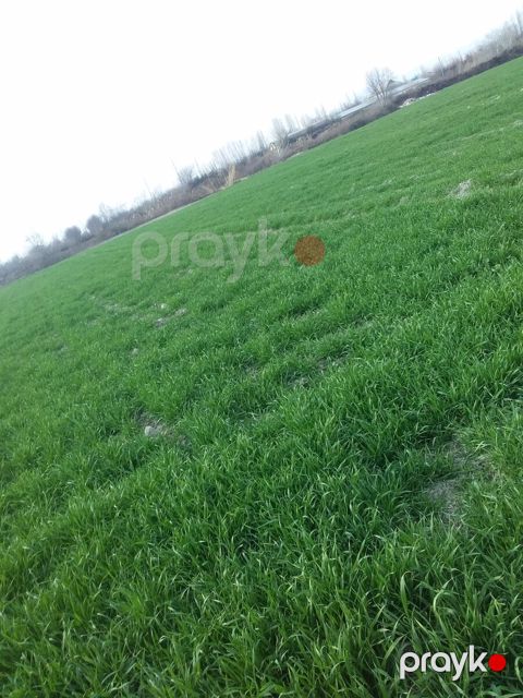 143 sot torpaq sahəsi, Göyçay r