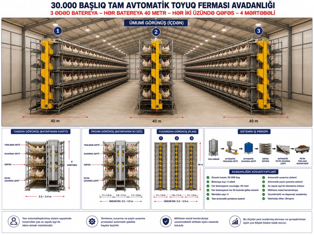 Toyuq sexi avadanlığı — Biznes və avadanlıq, Hacıqabul (9)