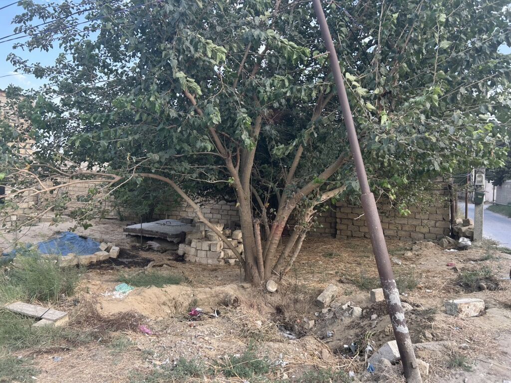 2 sot, Tikinti, Müqavilə — Torpaq, Novxanı (3)