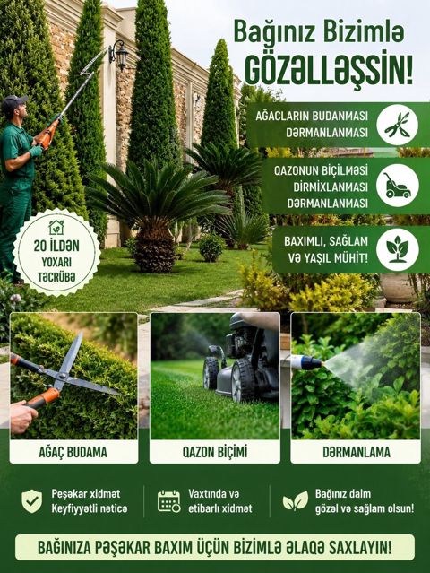 Ağacların Budanması Ağacların peşəkar budanması və dərmanlanması — Digah