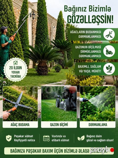 Ağacların Budanması Ağacların peşəkar budanması və dərmanlanması