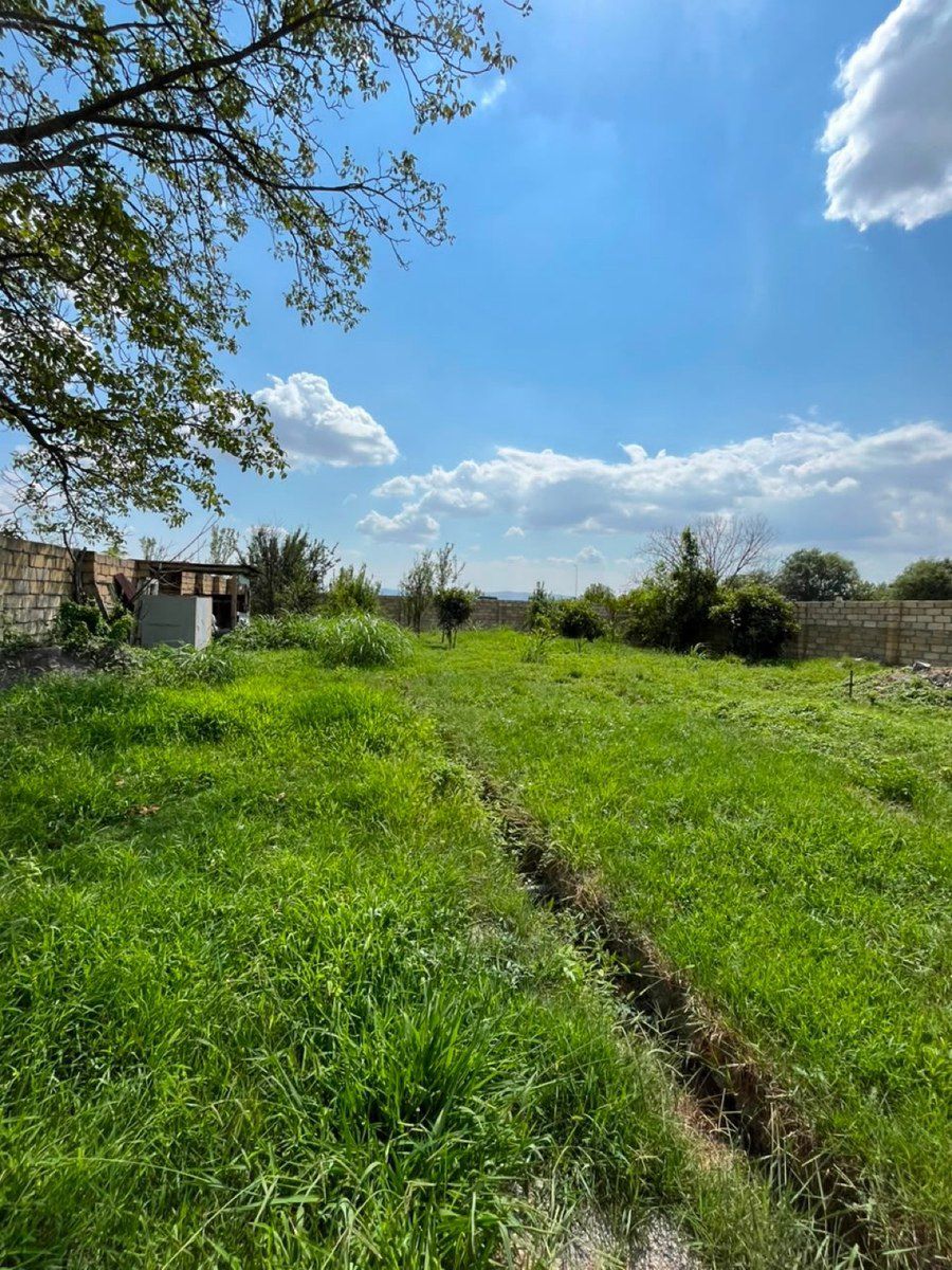 6 sot torpaq sahəsi, Şəki ş. — Torpaq, Şəki (3)