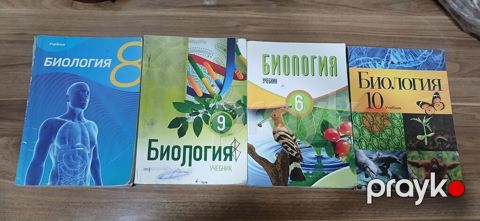 Каждая по 5 манат