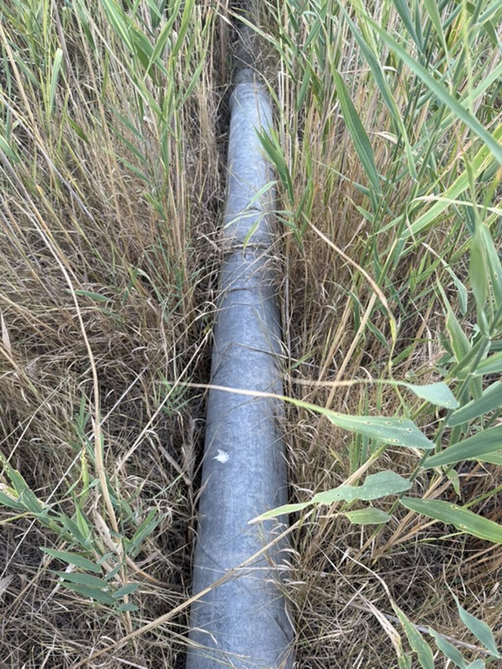 Məhsul: Sinklənmiş metal boru Təsvir: - Material: Qalvanizli — Mallar, Gəncə (4)