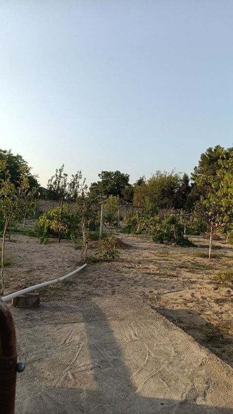 25 sot torpaq sahəsi, Novxanı qəs — Bakı