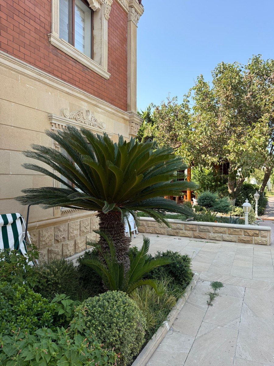 Bağ evi kirayə verilir, Mərdəkan qəs. — Ev, villa, Bakı (2)