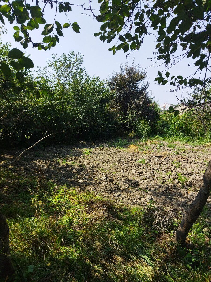 2 sot torpaq sahəsi, Qusar r — Torpaq, Qusar (3)