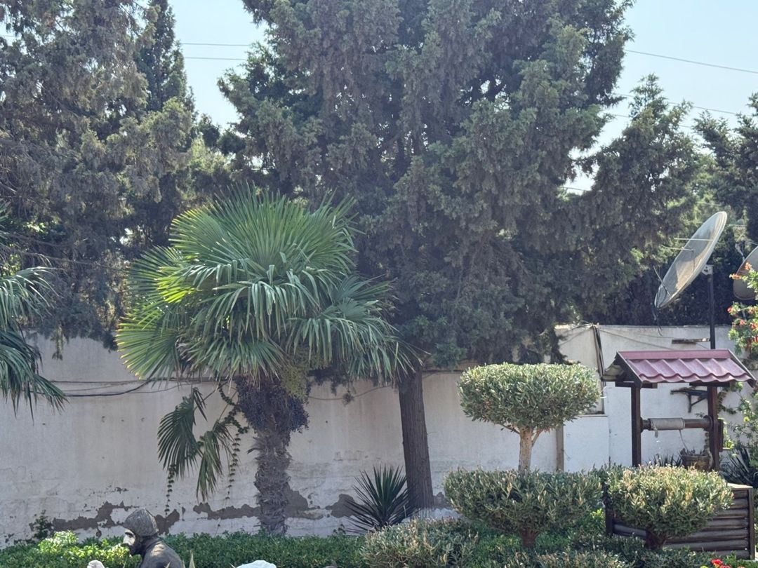 Bağ evi kirayə verilir, Mərdəkan qəs. — Ev, villa, Bakı (11)